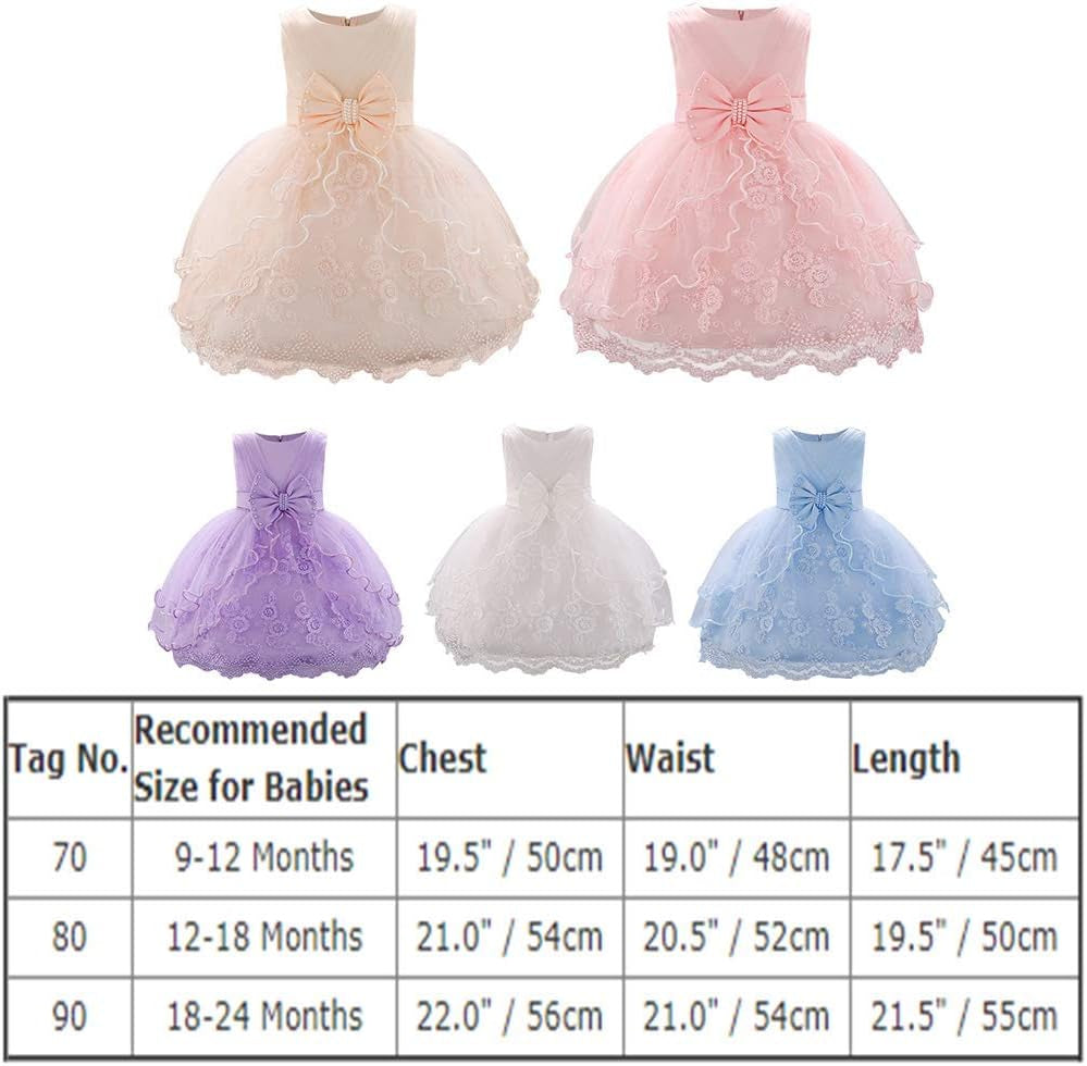 Baby Girl Christening Baptism Gown Flower Embroidery Tutu Dress Special Occasion